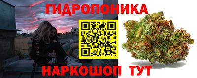 mix Бердск